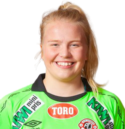 哈兰德